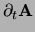 $\displaystyle {\partial_t {\bf A}}$