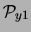 $\displaystyle {\cal P}_{y1}$